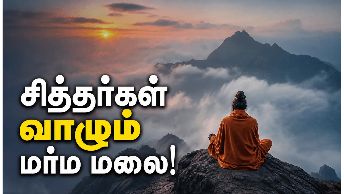 சஞ்சீவி மலையின் மர்மங்கள்: சித்தர்கள் வாழும் பர்வதமலையின் ஆன்மீக சிறப்புகள்