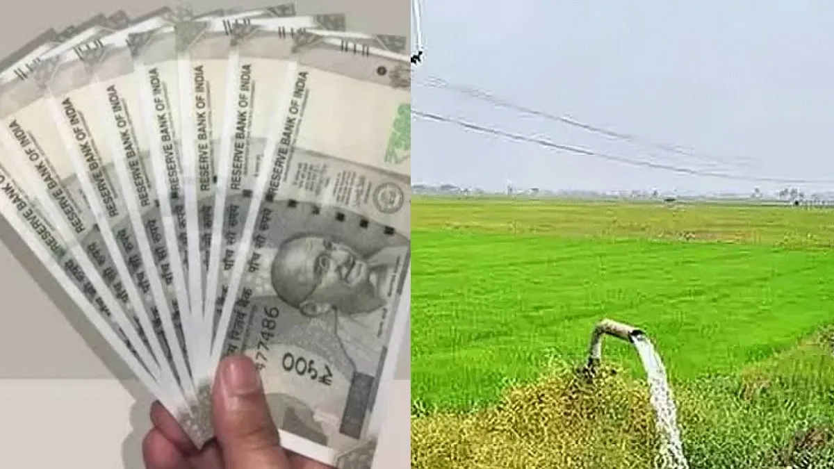 விவசாயிகளுக்கு ரூ.5 லட்சம் கடன்.. வட்டி எவ்வளவு? கூட்டுறவு வங்கி புதிய திட்டம்.. யாரெல்லாம் பெறலாம்?